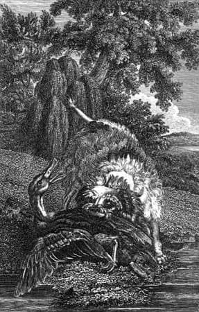 A drawing of a French Spaniel being used to hunt Mallards from 1805.