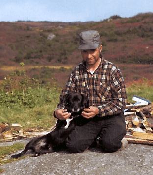 St. John's water dog