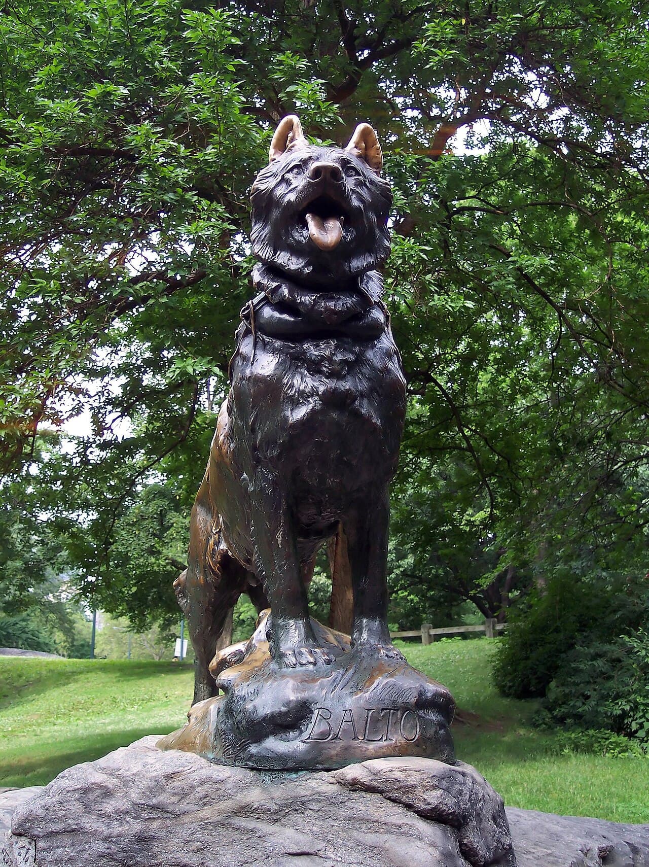 Balto in New York City's Central Park (by Frederick Roth)