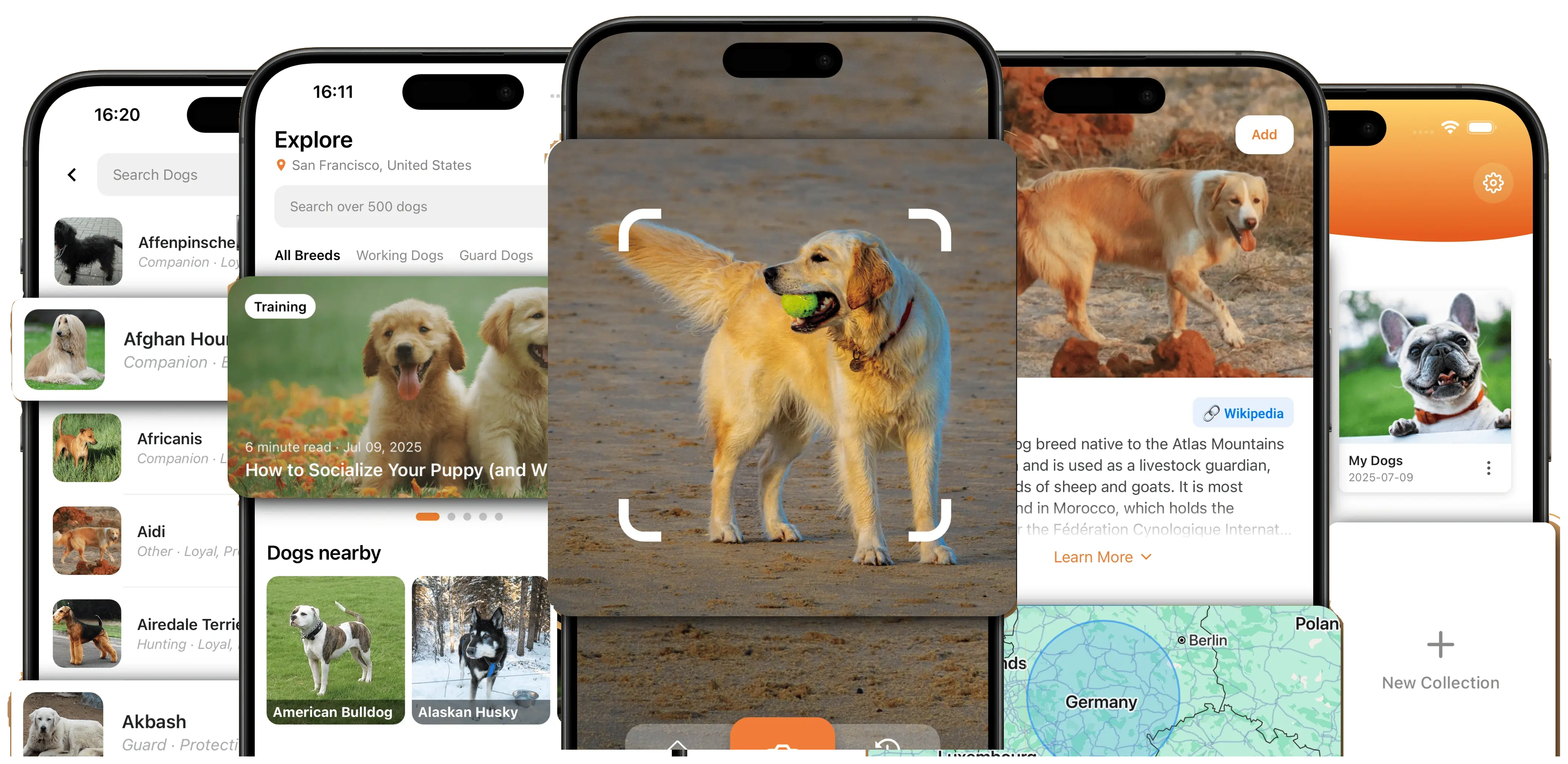 DogFlux app preview showing dog breed identification and map interface